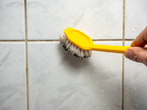 Best Fast Mold Removal  in Lindale, TX