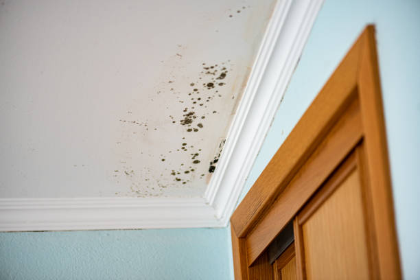 Water Damage Restoration in Lindale, TX