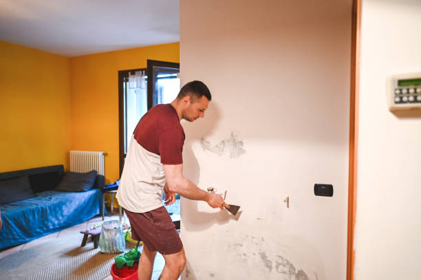 Best Office Mold Removal Services  in Lindale, TX