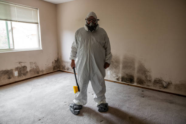 Best Crawl Space Mold Removal  in Lindale, TX